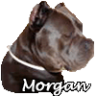 Morgan_A