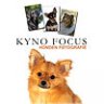 KynoFocus