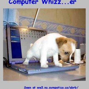 Computer Whizz
