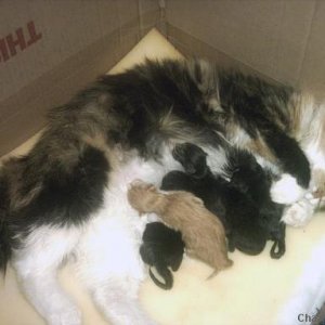 happy  and proud mother