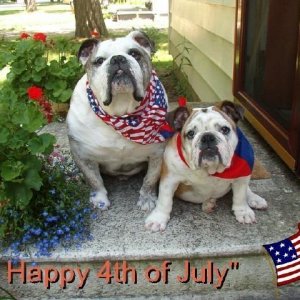 Happy 4th of July to all