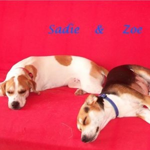 Zoe and her sister Sadie..