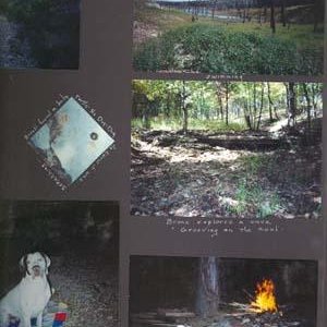 bronki's camping trip