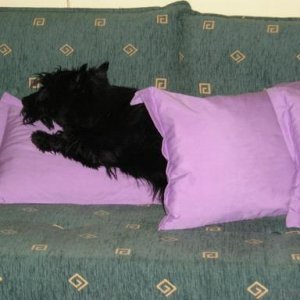 I love cushions ! So handy!
