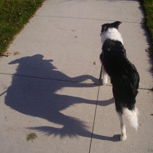 Me and my Shadow