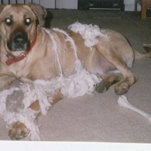 "Honest mom, my new toy just exploded"