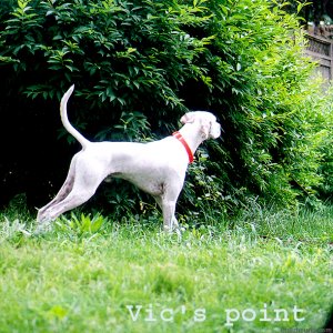 victorpoints_copy