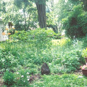 garden2006