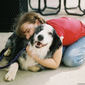 hyia and sawyer hug at dog park